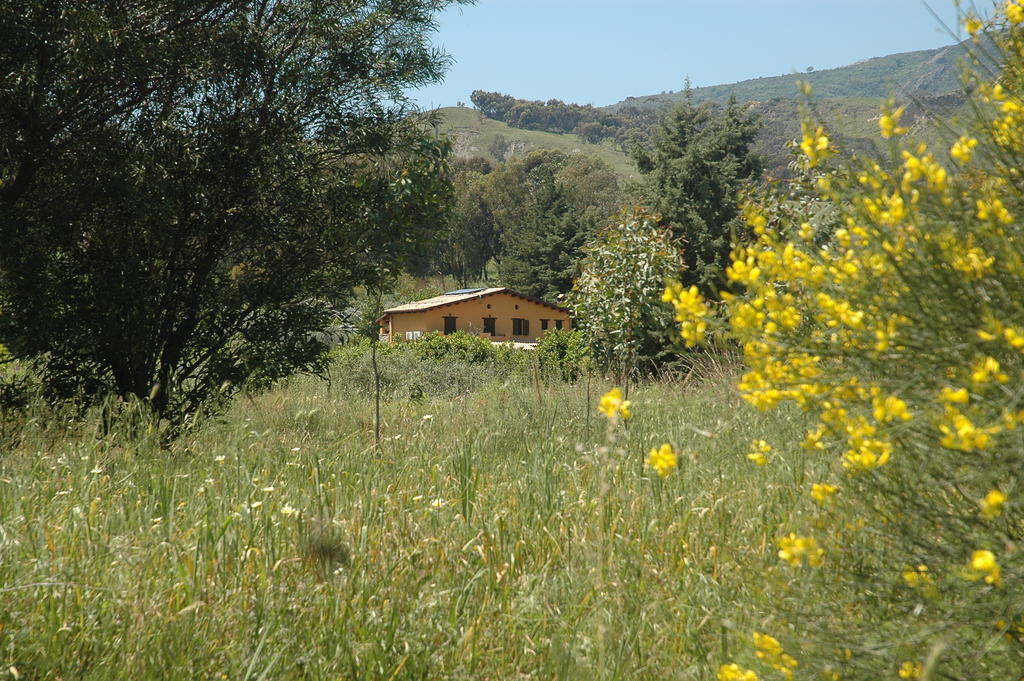 Villa Agriturismo Feudo Gagliardi Caulonia Exterior foto